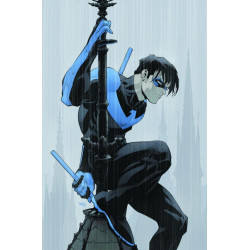 NIGHTWING 119 CVR C GLEB MELNIKOV CARD STOCK VAR