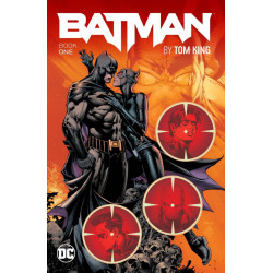 BATMAN BY TOM KING TP BOOK 01