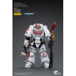 ASSAULT INTERCESS TSENDBAATAR JOYTOY 40K WHITE SCARS ACTION FIGURE 10 CM