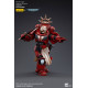 BLOOD ANGELS VETERAN LAENATUS JOYTOY WH 40K ACTION FIGURE 10 CM