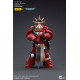 BLOOD ANGELS VETERAN LAENATUS JOYTOY WH 40K ACTION FIGURE 10 CM