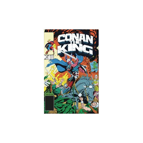 KING CONAN ORIG COMICS OMNIBUS HC VOL 2 DM ED