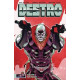 DESTRO TP VOL 1 CVR B DIRECT MARKET EDITION