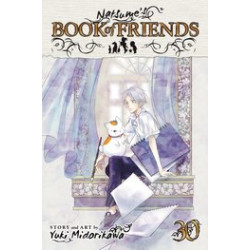 NATSUMES BOOK OF FRIENDS GN VOL 30