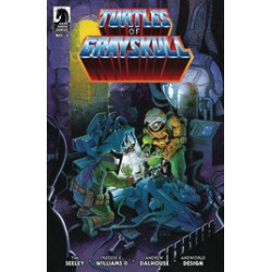 MASTERS OF UNIVERSE TMNT TURTLES OF GRAYSKULL 3 CVR B CROOK