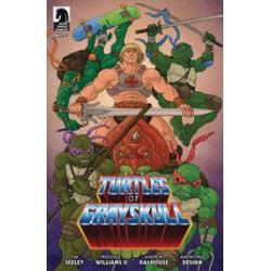 MASTERS OF UNIVERSE TMNT TURTLES OF GRAYSKULL 3 CVR C VILLALOBOS