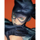 CATWOMAN 70 CVR C HOMARE CARD STOCK VAR