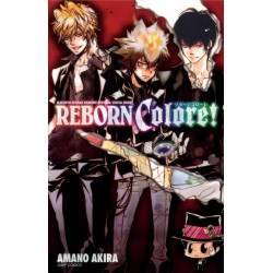 REBORN COLORE ARTBOOK VO JAPONAIS