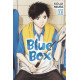 BLUE BOX GN VOL 13