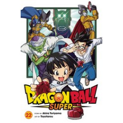 DRAGON BALL SUPER GN VOL 22