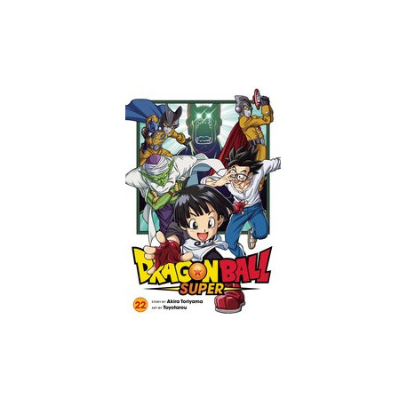 DRAGON BALL SUPER GN VOL 22