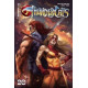 THUNDERCATS 11 CVR G PARRILLO FOIL