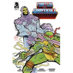 MASTERS OF UNIVERSE TMNT TURTLES OF GRAYSKULL 4 CVR B FIFFE