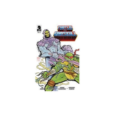 MASTERS OF UNIVERSE TMNT TURTLES OF GRAYSKULL 4 CVR B FIFFE