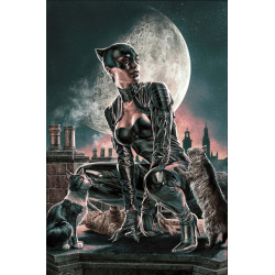 CATWOMAN 71 CVR C LEE BERMEJO CARD STOCK VAR