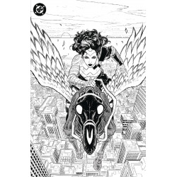 ABSOLUTE WONDER WOMAN NOIR EDITION #1 OS CVR C SHERMAN FOIL