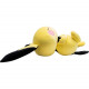 PICHU SLEEPING POKEMON PELUCHE 45 CM