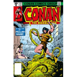 CONAN BARBARIAN ORIG OMNIBUS DIRECT MKT ED GN VOL 5