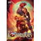 THUNDERCATS 12 CVR D TAO