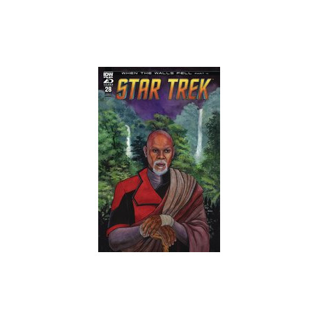 STAR TREK 28 CVR B FOWLER