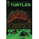 TEENAGE MUTANT NINJA TURTLES 2024 6 CVR A FORNES