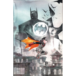 BATMAN AND ROBIN 17 CVR C DUSTIN NGUYEN CARD STOCK VAR