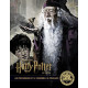 LA COLLECTION HARRY POTTER AU CINEMA, VOL. 11, LES PROFESSEURS