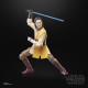 STAR WARS BLACK SERIES JEDI MASTER SOL