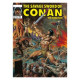 SAVAGE SWORD OF CONAN ORIG OMNIBUS REG GN VOL 11