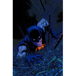 BATMAN DARK PATTERNS 3 OF 12 CVR A HAYDEN SHERMAN