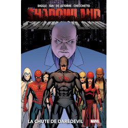 SHADOWLAND : LA CHUTE DE DAREDEVIL NOUVELLE EDITION