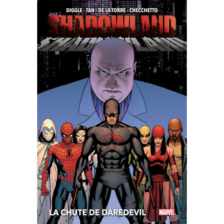 SHADOWLAND : LA CHUTE DE DAREDEVIL NOUVELLE EDITION