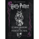 LES MINI-GRIMOIRES HARRY POTTER T8: LES FORCES DU MAL