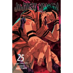 JUJUTSU KAISEN GN VOL 25