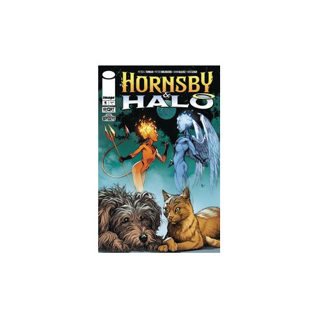 HORNSBY HALO 5 CVR B FRANK ANDERSON