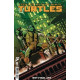 TEENAGE MUTANT NINJA TURTLES 2024 8 CVR A FORNES