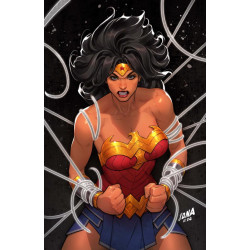 WONDER WOMAN 19 CVR B DAVID NAKAYAMA CARD STOCK VAR