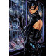 CATWOMAN 74 CVR C DAN PANOSIAN CARD STOCK VAR