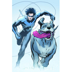 NIGHTWING 124 CVR C GLEB MELNIKOV CARD STOCK VAR