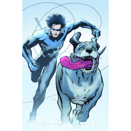 NIGHTWING 124 CVR C GLEB MELNIKOV CARD STOCK VAR