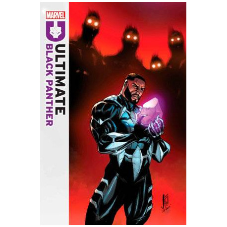 ULTIMATE BLACK PANTHER 13