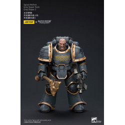 WARHAMMER HORUS HERESY SPACE WOLVES GREY SLAYER 3 12 CM