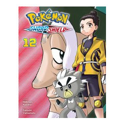 POKEMON SWORD SHIELD GN VOL 12