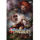 THUNDERCATS 15 CVR A PARRILLO