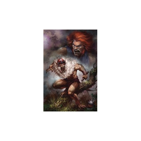 THUNDERCATS 15 CVR H PARRILLO FOIL VIRGIN