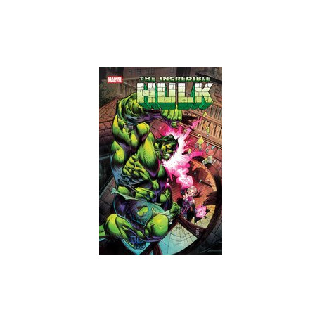 INCREDIBLE HULK 24