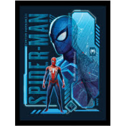 SPIDER MAN PETER COLLECTOR PRINT FRAMED 40 X 30 CM