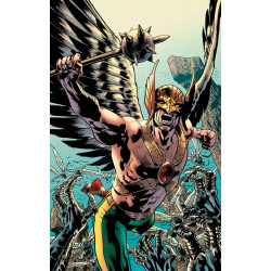 HAWKMAN TP VOL 1 AWAKENING