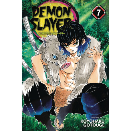 DEMON SLAYER KIMETSU NO YAIBA GN VOL 7