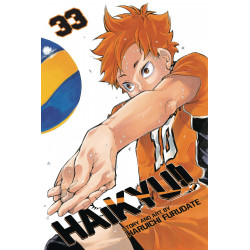 HAIKYU GN VOL 33